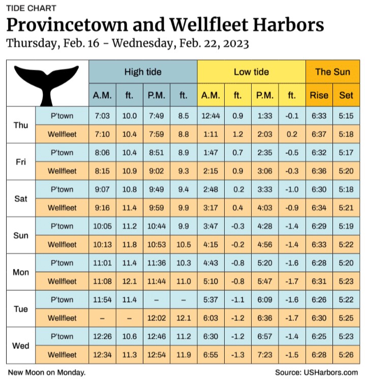 Provincetown and Wellfleet Harbors The Provincetown Independent