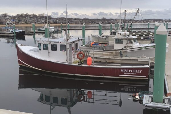 Cape Lobstermen Would Rather Wait Than Switch