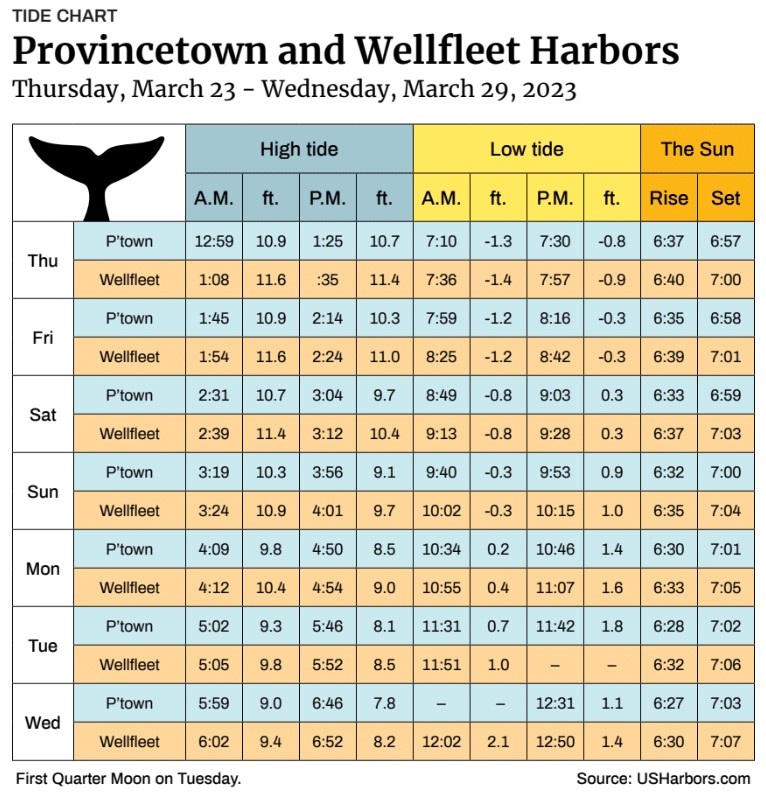 Provincetown and Wellfleet Harbors The Provincetown Independent