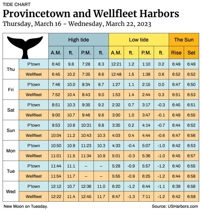 Provincetown and Wellfleet Harbors The Provincetown Independent