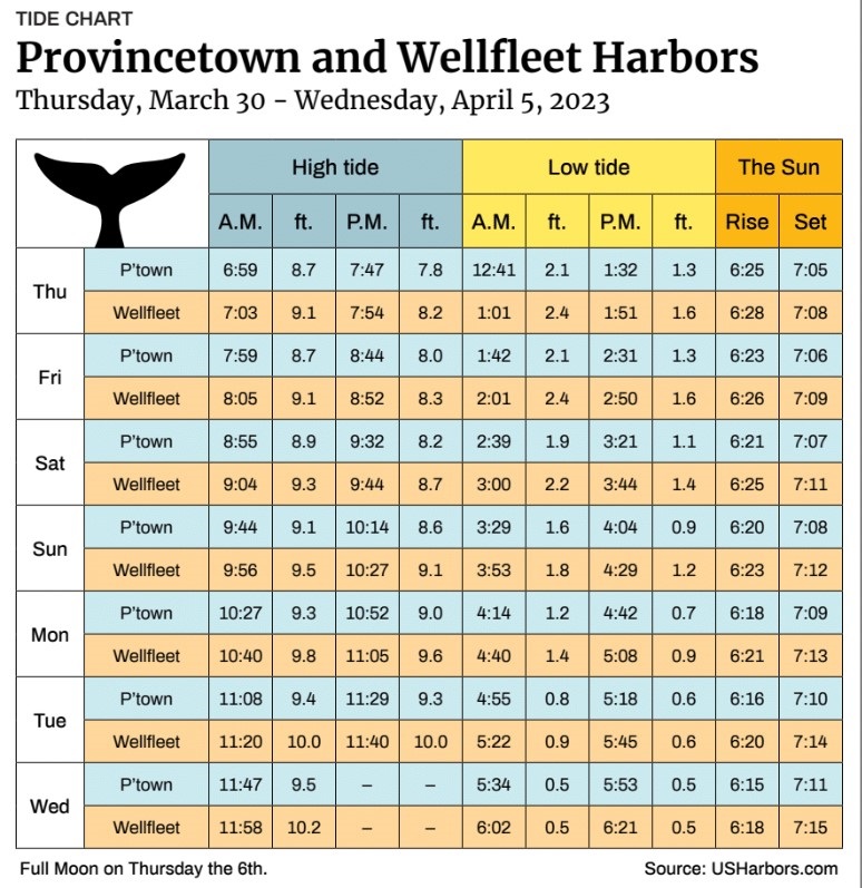 Provincetown and Wellfleet Harbors The Provincetown Independent