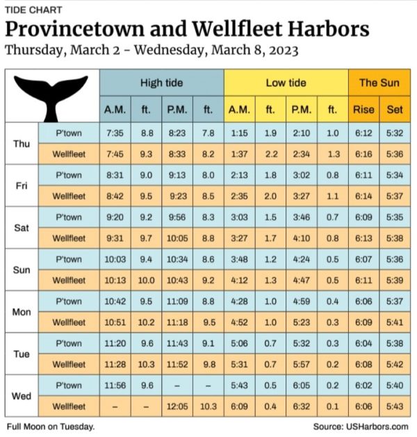 Provincetown and Wellfleet Harbors The Provincetown Independent