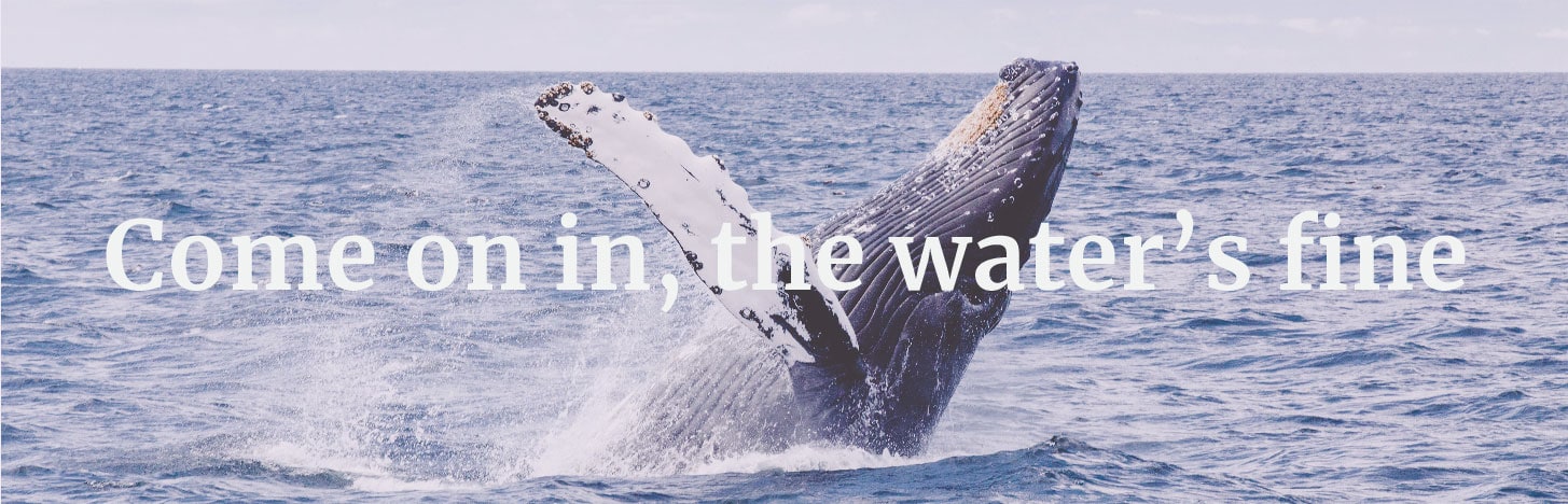 Come on in, the water's fine
