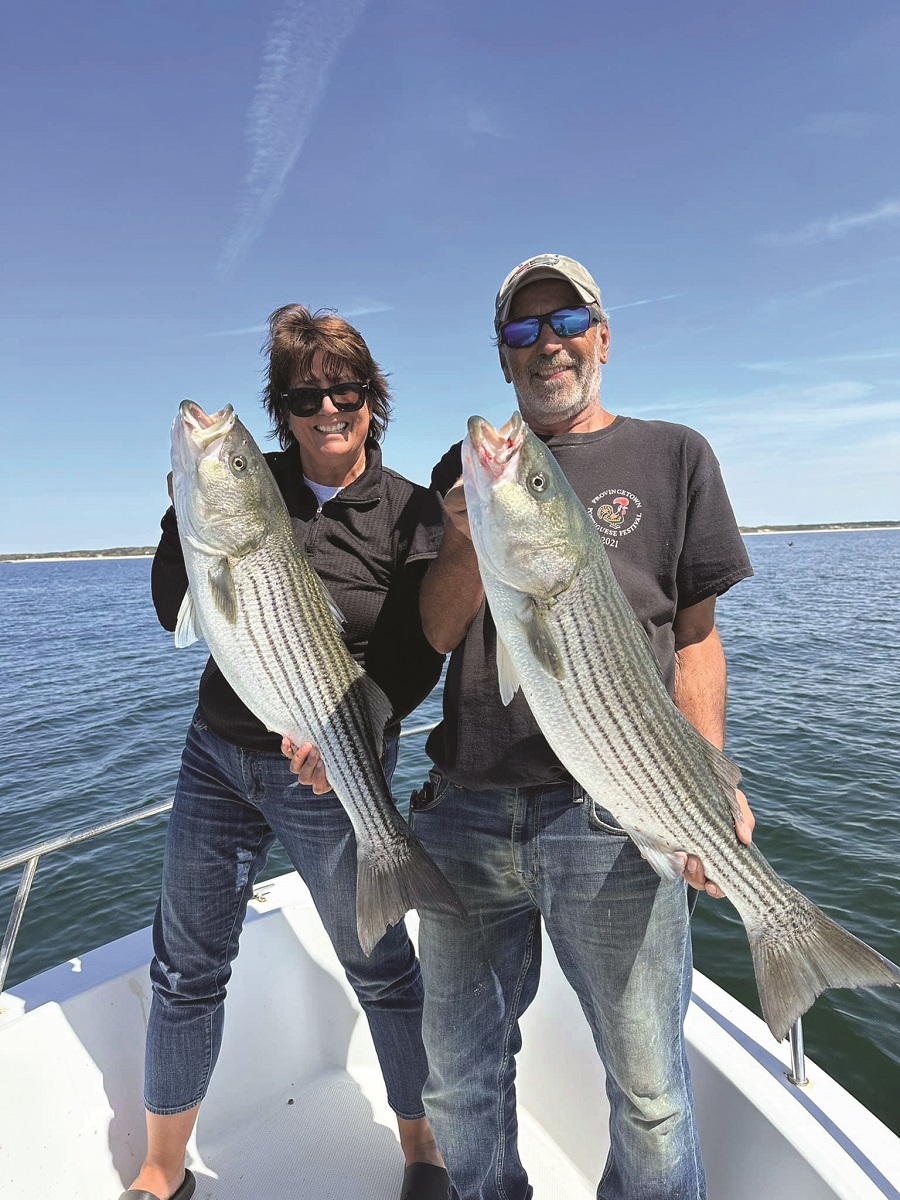 The Stripers Are Here, and the Bay Is Hot - The Provincetown