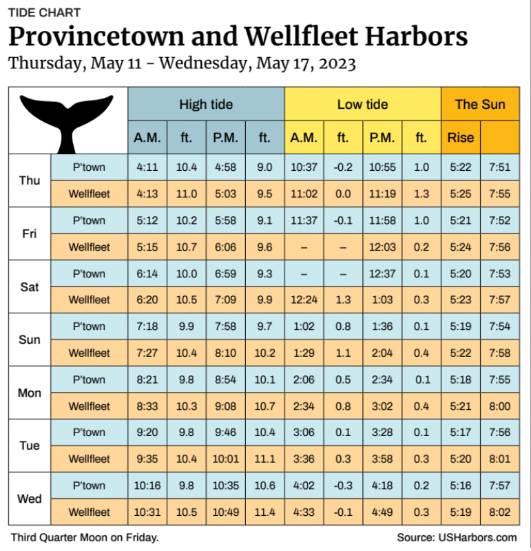 Provincetown and Wellfleet Harbors - The Provincetown Independent