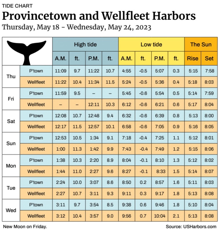 Provincetown and Wellfleet Harbors The Provincetown Independent