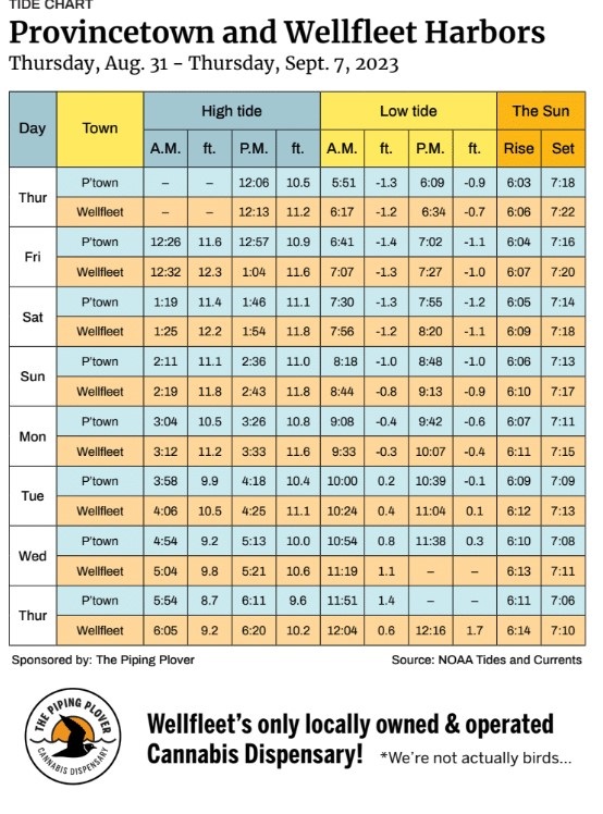 Provincetown and Wellfleet Harbors The Provincetown Independent