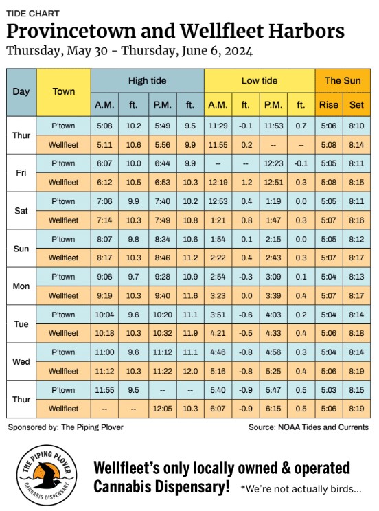 Provincetown and Wellfleet Harbors - The Provincetown Independent