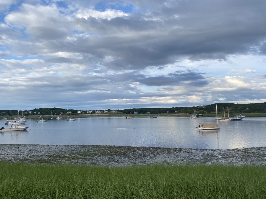 In Wellfleet, Mooring Means Your Rudder’s In The Mud - The Provincetown 