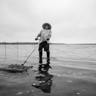 Meet the Farmers of Mayo Beach