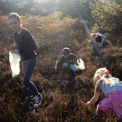 Treasure Hunting for Rubies in the Bog