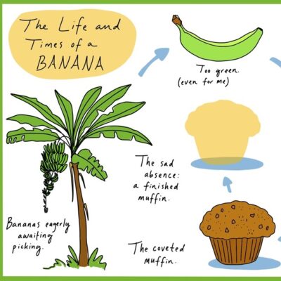 An Ode to the Overripe Banana