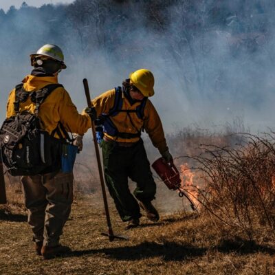 After 6-Year Delay, Seashore Carries Out Prescribed Burn at Fort Hill