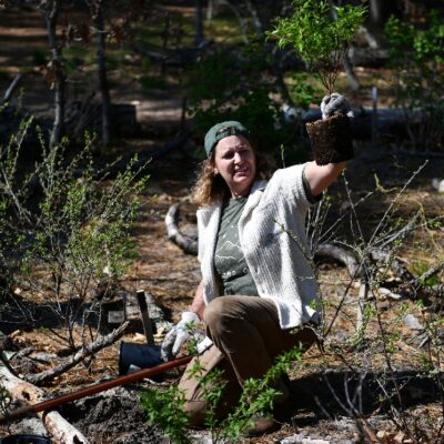 Friends of the 1651 Forest Start the Season of Habitat Restoration