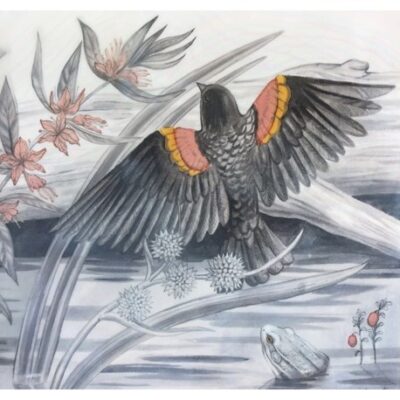 One Naturalist’s Vigil for an Ailing Forest