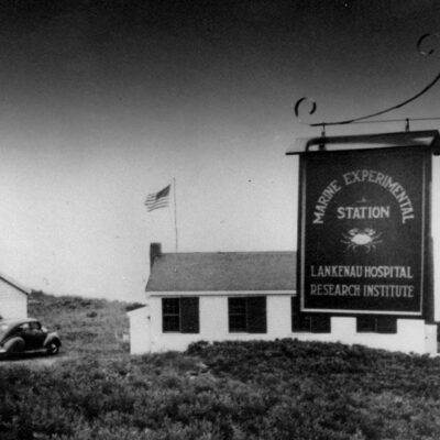 Frederick Hammett and His Truro Cancer Research Lab
