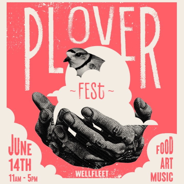 Piping Plover's "PloverFest" in Wellfleet