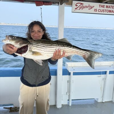Another Washout, but This One With a Bite
