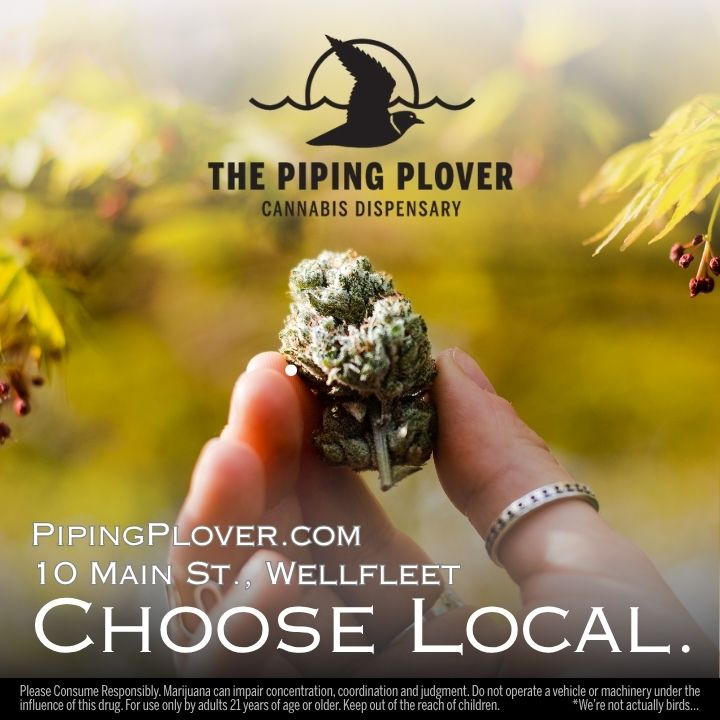 Piping Plover: Choose Local