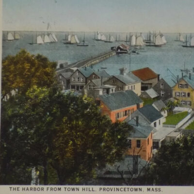 Of Wharves and Whales