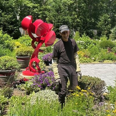 Roses to Redbuds, and a Few Hydrangeas, Too
