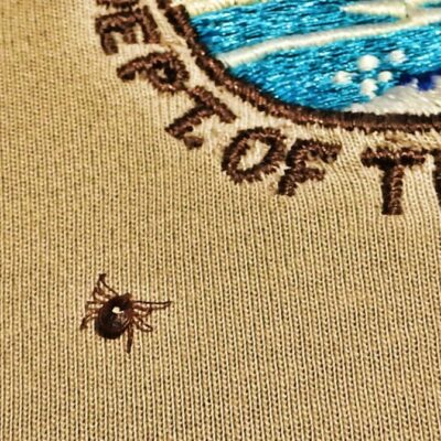 The Lone Star Tick Settles In, Bringing New Risks