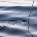 A Photographer Follows the Sea