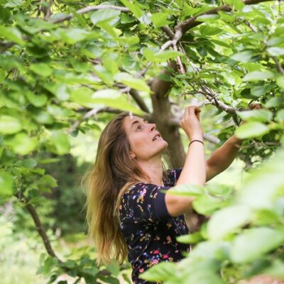 The Edible Abundance of the Forest