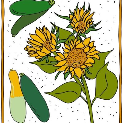 Sunflowers Rising
