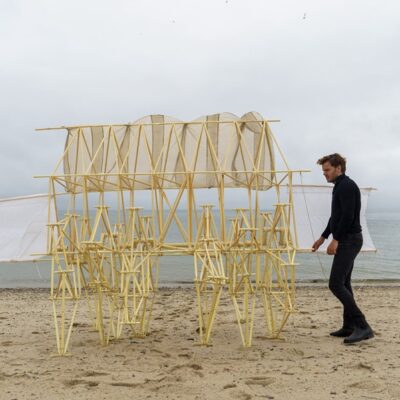 A Strandbeest Appears on Corn Hill Beach