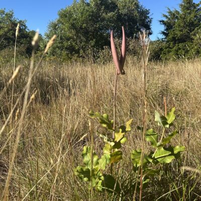 Clasping at Straws
