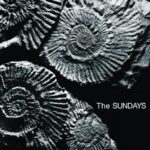 Indie Playlist: Summer’s End